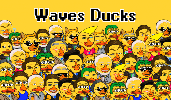 Waves Ducks, hra WAVES NFT, která přináší revoluci na trhu.